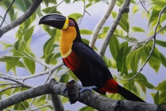 curso-de-pintura-elton-brunetti-tela-iniciantes-22