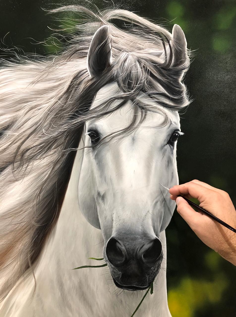 Desenhando um Cavalo realista 