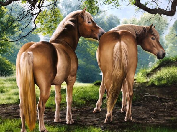 Quadro Cavalos Haflinger - 70x100 cm - Elton Brunetti - Detalhes 2