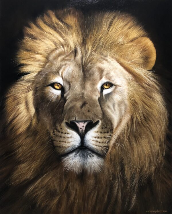 quadro Leão - 80 x 100 cm - Elton Brunetti