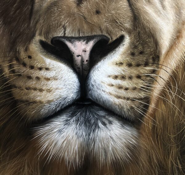quadro Leão - 80 x 100 cm - Elton Brunetti - Detalhe 2