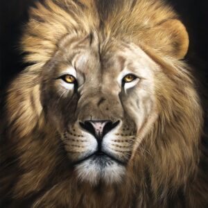 quadro Leão - 80 x 100 cm - Elton Brunetti
