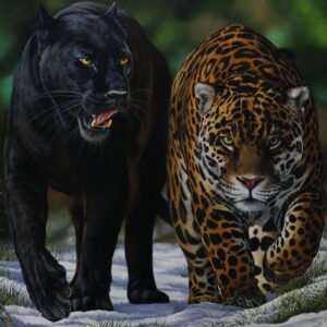 quadro Onca e Pantera Negra - 80x100 cm - Elton Brunetii