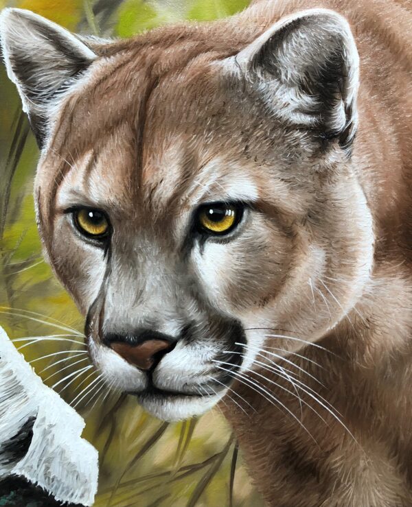 quadro Puma - 70x100 cm - Elton Brunetti - Detalhes 1