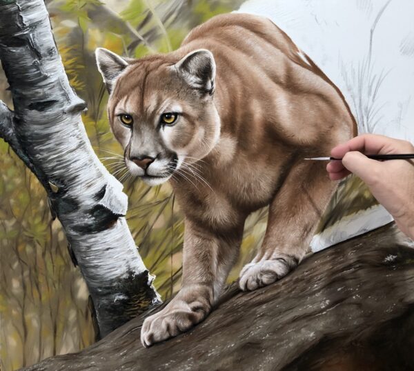 quadro Puma - 70x100 cm - Elton Brunetti - Detalhes 2