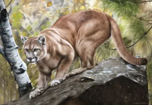 quadro Puma - 70x100 cm - Elton Brunetti