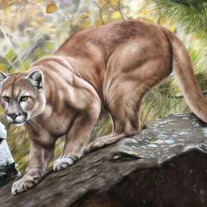 quadro Puma - 70x100 cm - Elton Brunetti