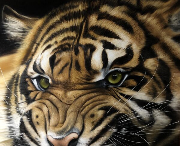 quadro Tigre - 70x100 cm - Elton Brunetti - Detalhes 1