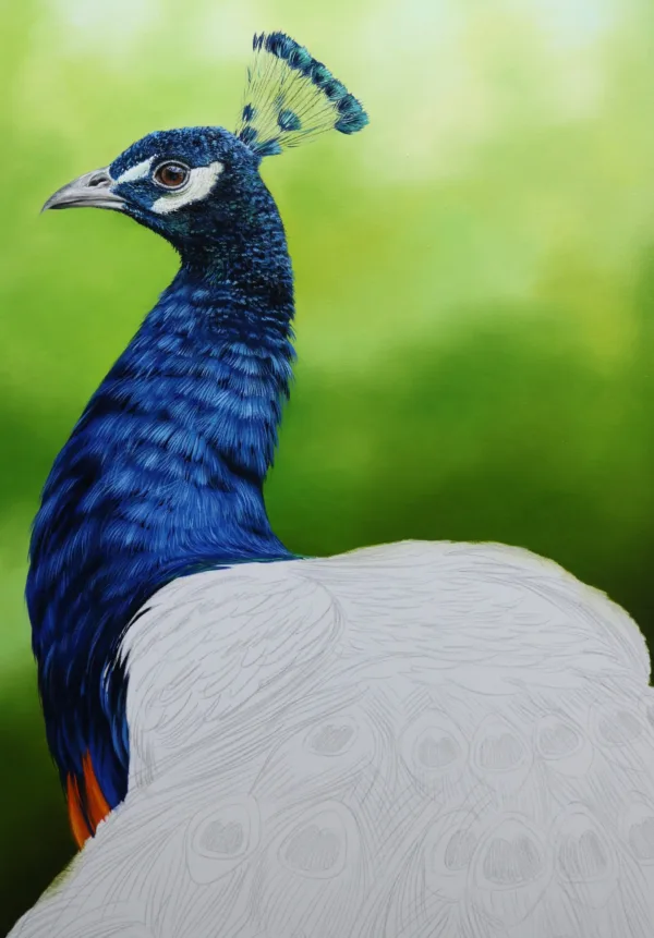 Quadro Pavão | Pintura a óleo - Image 4
