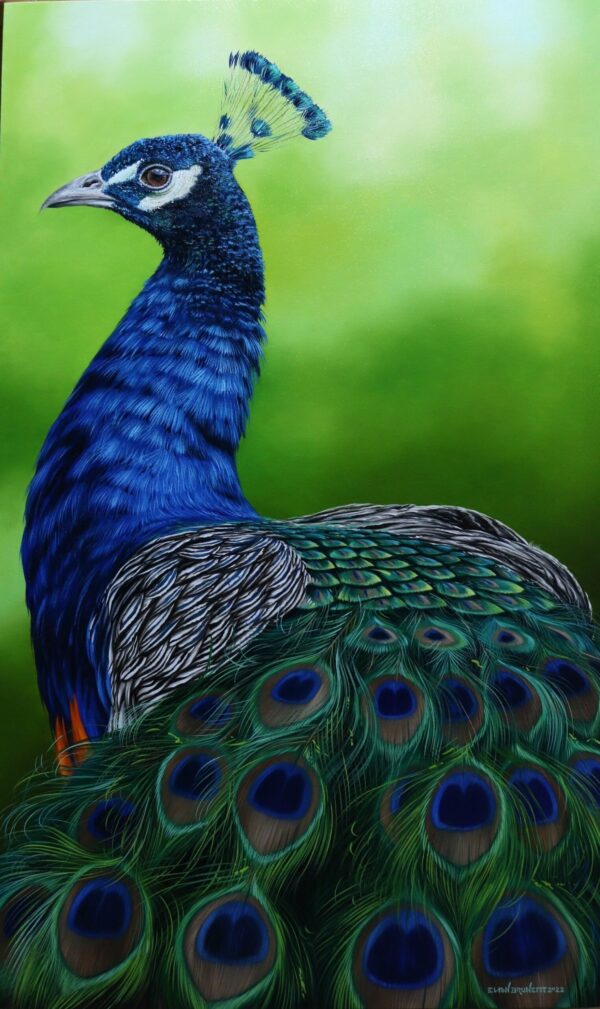 Quadro Pavão | Pintura a óleo - Elton Brunetti Art