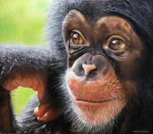 pintura chimpamzé - óleo sobre tela 70 x 80 cm Elton Brunetti