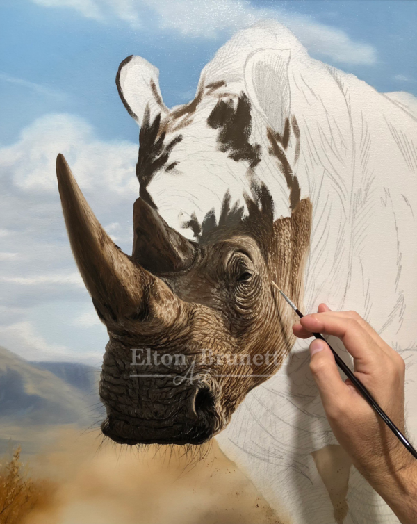 Rinoceronte, óleo sobre tela 70 x 90 cm - Imagem 2