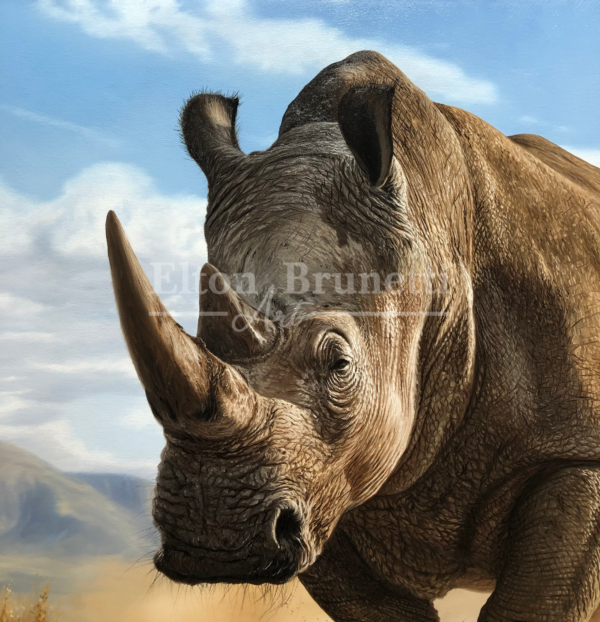 Rinoceronte, óleo sobre tela 70 x 90 cm - Imagem 3