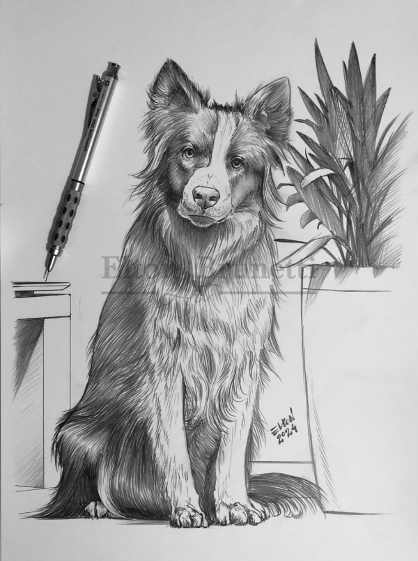 Border collie, óleo sobre tela 50 x 70 cm - Imagem 2