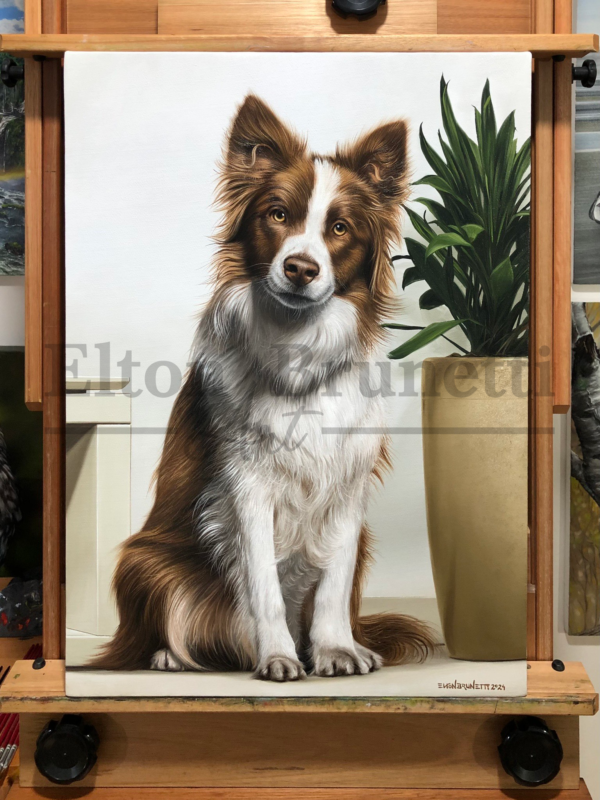 Border collie, óleo sobre tela 50 x 70 cm - Imagem 5