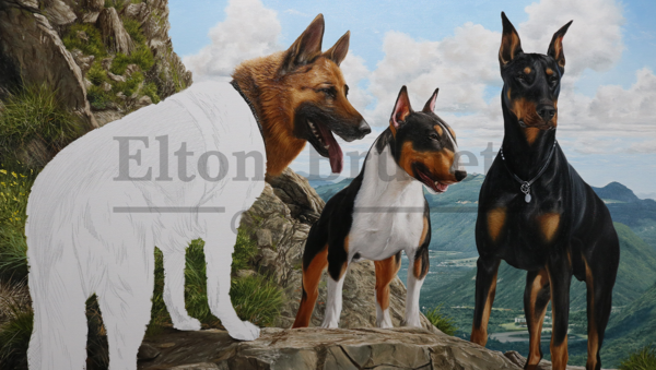 Pintura cães de guarda, óleo sobre tela 70 x 100 cm - Imagem 5