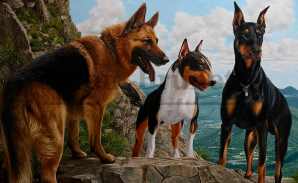Pintura cães de guarda, óleo sobre tela 70 x 100 cm - Imagem 6
