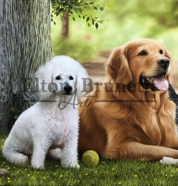 “Cães amigos”, óleo sobre tela 60 x 80 cm - Imagem 8