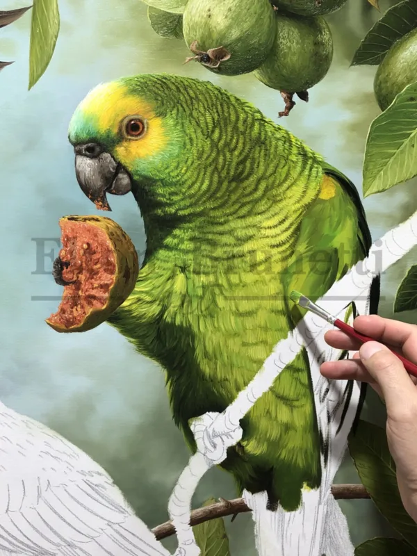 Papagaios verdadeiros, óleo sobre tela de linho sintético 80 x 100 cm - Imagem 4