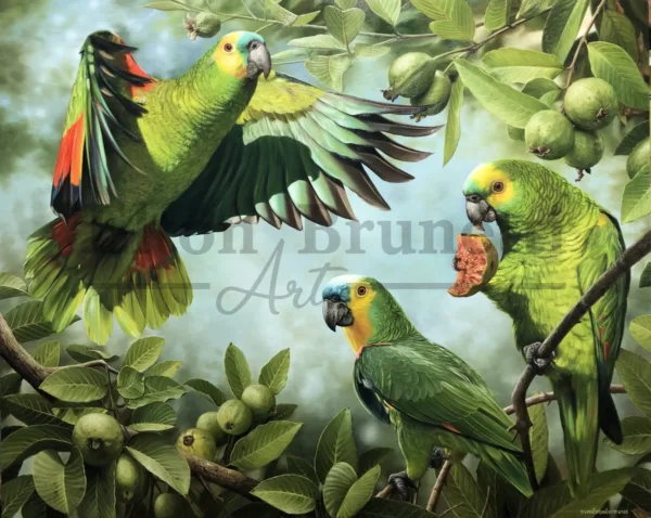 quadro papagaios verdadeiros por Elton Brunetti