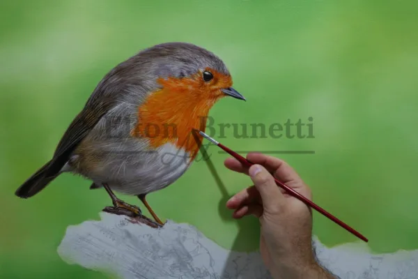 Pássaro com borboleta, óleo sobre tela 60 x 80 cm - Imagem 4