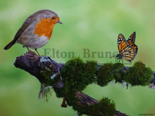 Pássaro com borboleta, óleo sobre tela 60 x 80 cm