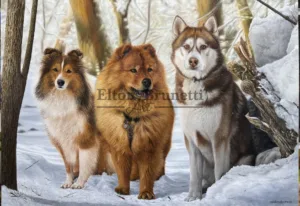 “Cães na neve” óleo sobre tela 70 x 100 cm