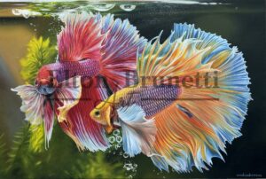 Pintura Peixes beta, óleo sobre tela 60 x 90 cm - Elton Brunetti - 03