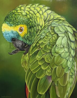 pintural tela papagaio verdadeiro 80x100 cm - Elton Brunetti