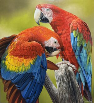 pintura araras vermelhas, óleo sobre tela 90 x 100 cm - Elton Brunetti